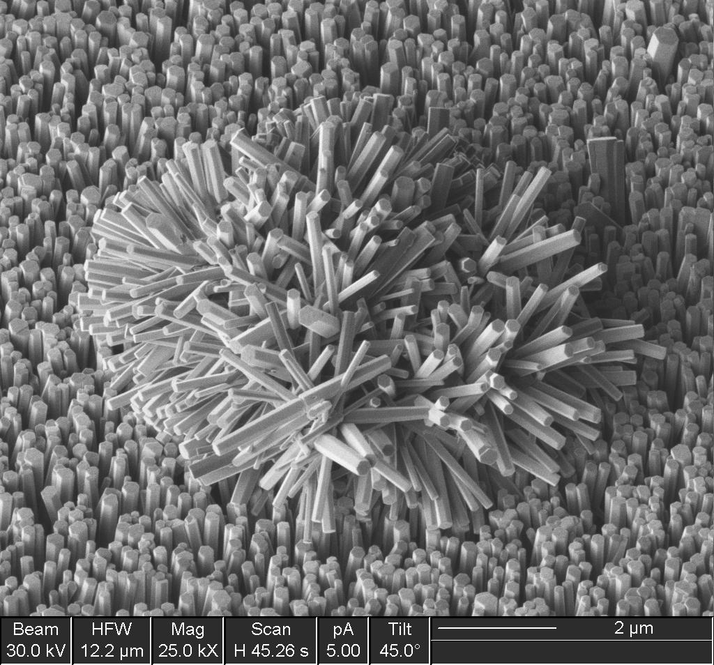ZnO nanorods grown in an aqueous solution