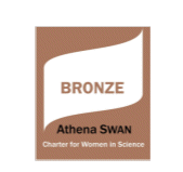 Bronze swan