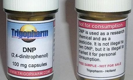 DNP pills