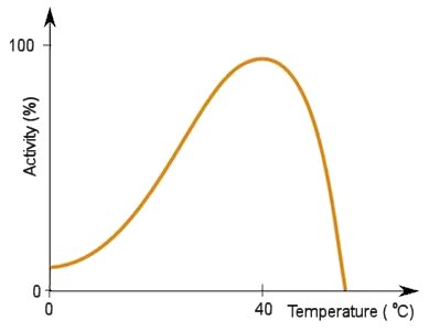 Enzyme activity vs temperature