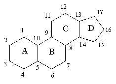 Basic structure of a steroid