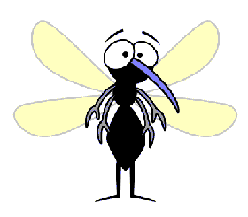 Mosquito