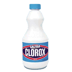 Clorox bleach