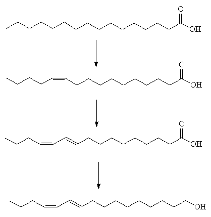 Synthesis of bombykol
