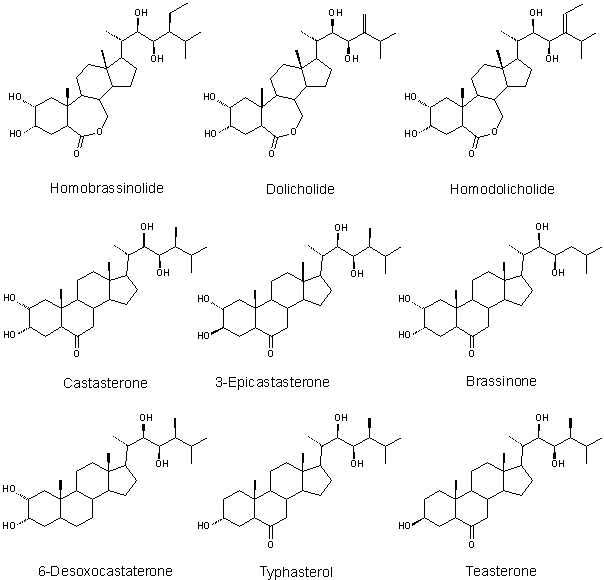 List of other brassinolsteroids
