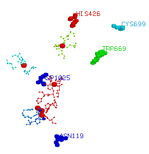 caeruloplasmin