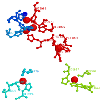 The six coppers of ceruloplasmin