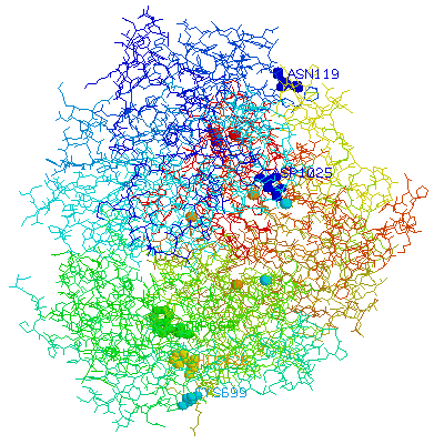 caeruloplasmin and some active sites