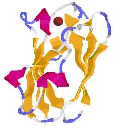 Plastocyanin from PBD 1AG6