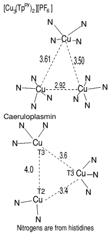 Caeruloplasmin and Cu(I) pyrazolylborate trimers