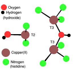 T3 copperr site linked to a T2 site