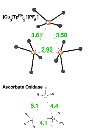 Cu(I) trimer and ascorbate oxidase