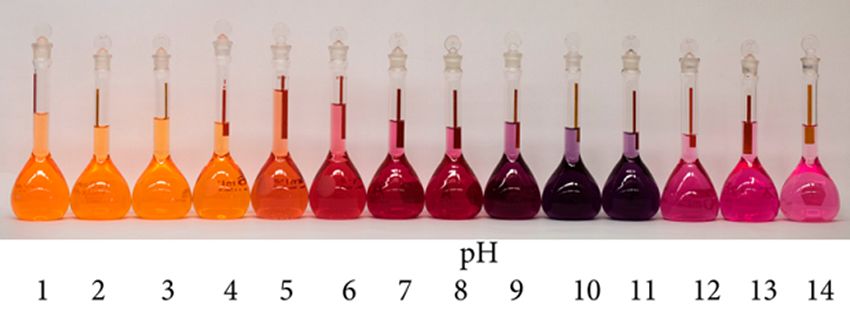 Carminic acid can take on a range of colours depending on pH