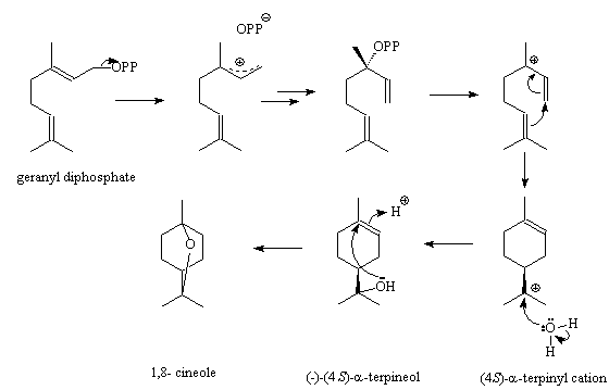 Synthesis of cineole