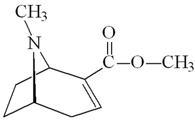 methylecgonidine