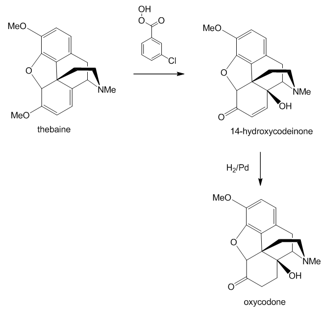 Synthesis of oxycodone