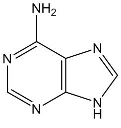 Adenine