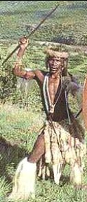 A zulu warrior