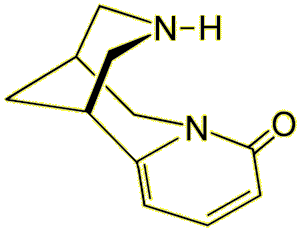 Cytisine Smoking Cessation Drug Molecule Poster by Molekuul