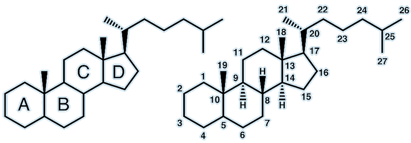 Steroid numbering