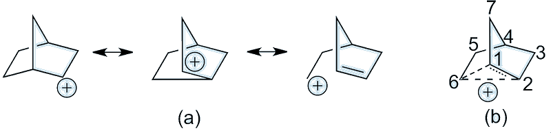 Reactions of 2-norbornyl cation