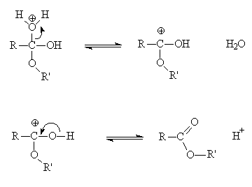 mechanism4