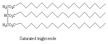 sattriglyceride