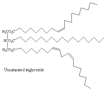 triglyceride