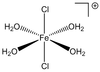 trans-[Fe(H2O)4Cl2]+