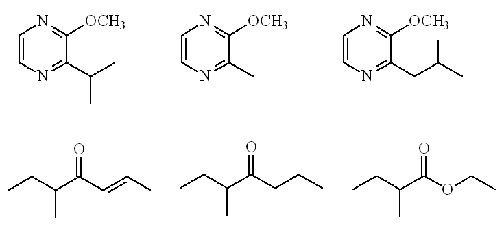 Other molecules that contribute to hazelnut smell