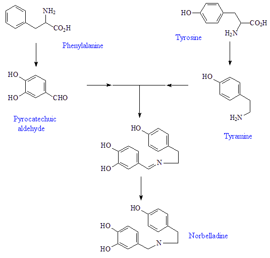 Synthesis