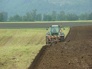 Ploughing - bringing up the 'smell of the countryside'