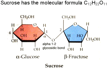 molecular structure of  sugar