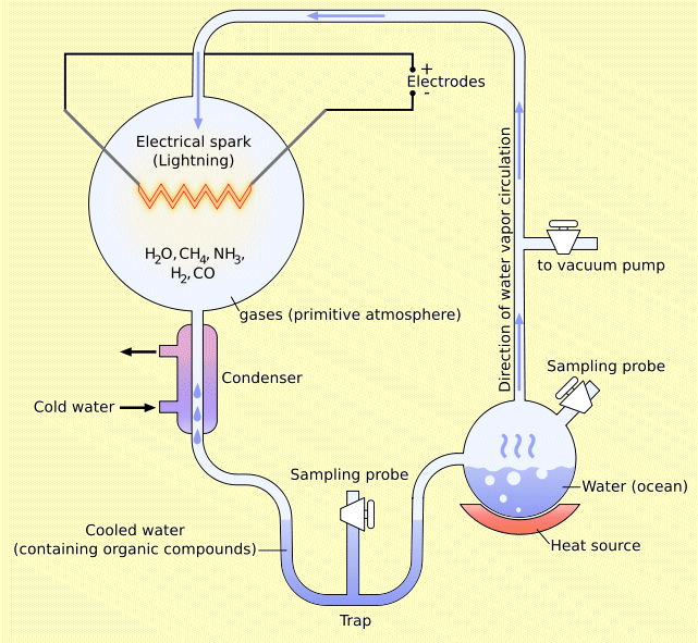 Miller's Experiment - pic from Wikimedia Commons
