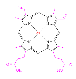 Heme - click for 3D VRML structure