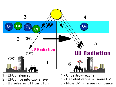 CFCs affect the ozone layer