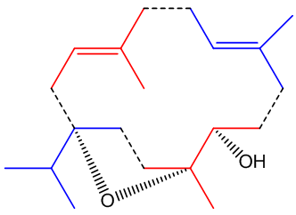 How isoprenes make up the structure of incensole