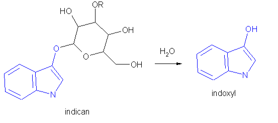 Production of indigogin