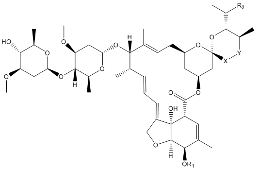 the avermectins