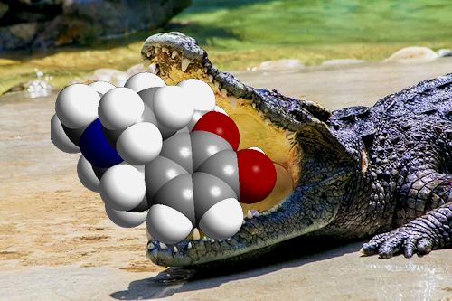 Crocodile eating a krokodil molecule