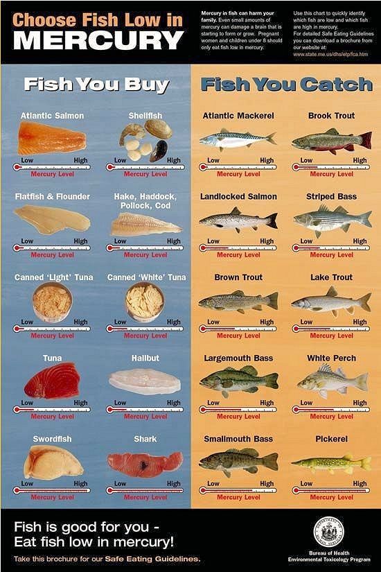 Levels of mercury in commonly eaten fish