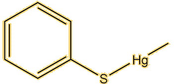 Methylmercury-phenylthiolate