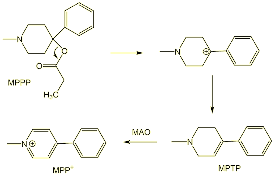 Synthesis of MPP+