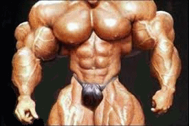 bodybuilder