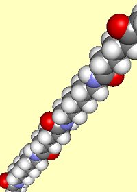 Spacefill image of a portion of nylon