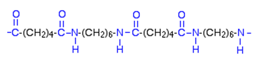 A nylon polymer chain