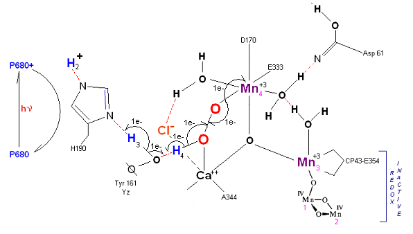 Intermediate State S3'