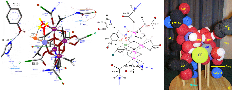 HTML version of original pdf file