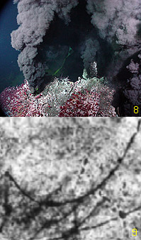 3.3 Ga year old volcanic sulphide deposit from the Pilbara Craton of Australia (9). Filamentous algae?