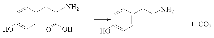 Reaction forming tyramine